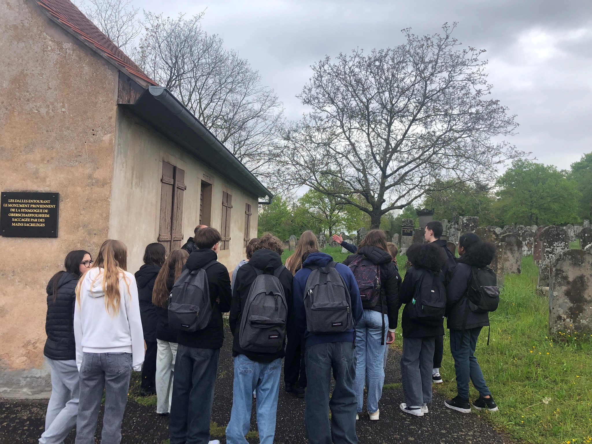 Les élèves du Collège de Duttlenheim au cimetière juif de Rosenwiller